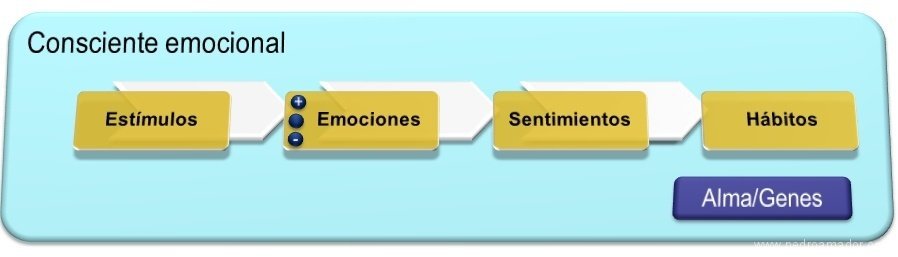 esquema de emociones y sentimientos