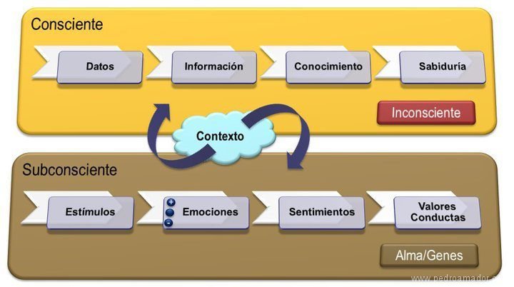 Esquema final para entender los gustos y preferencias