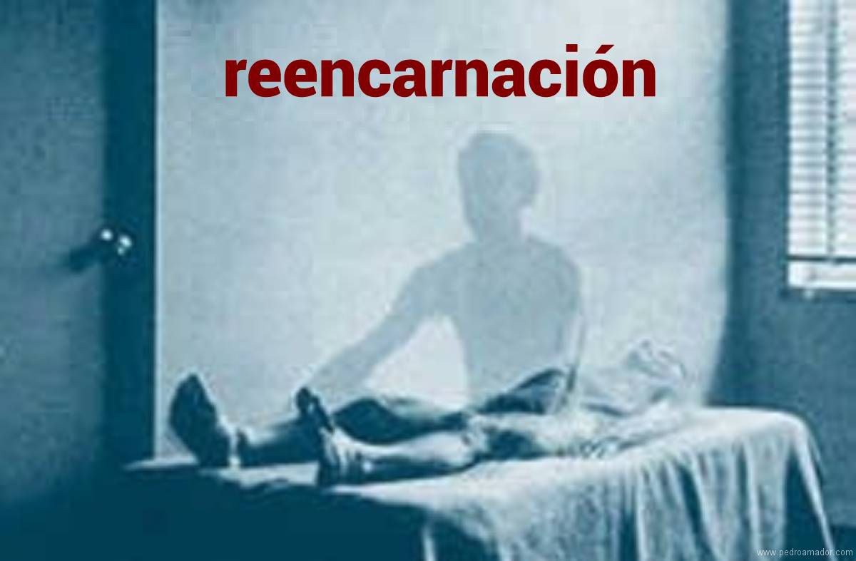 reencarnacion