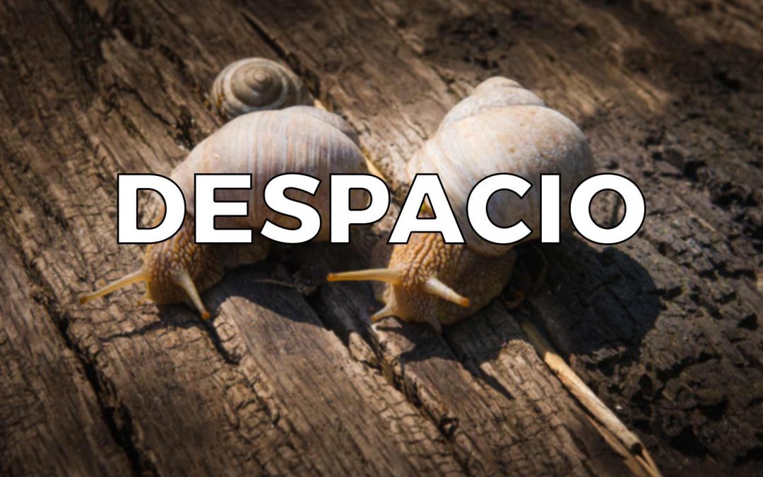 Ir más despacio: la clave para disfrutar de la vida