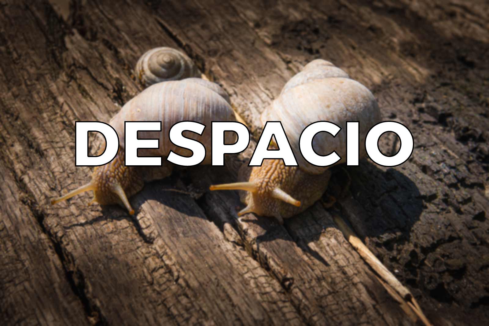 despacio