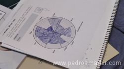 rueda del amor coaching autocoaching