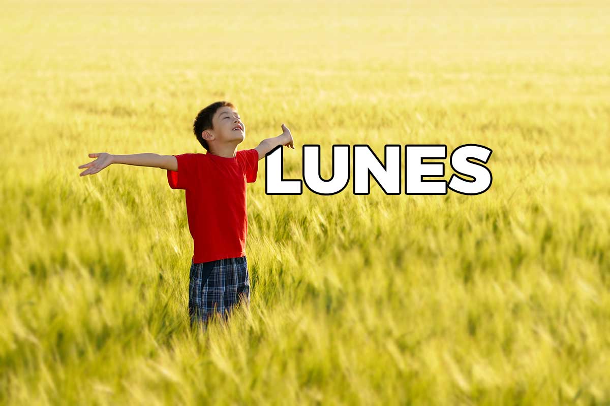 Ya es lunes