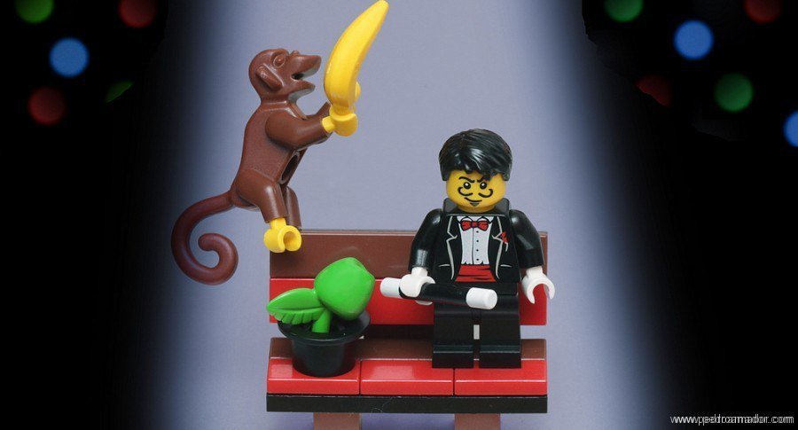¿Cuál es la diferencia entre un Presidente y un chimpancé?