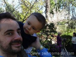 conciliacion vida personal y profesional