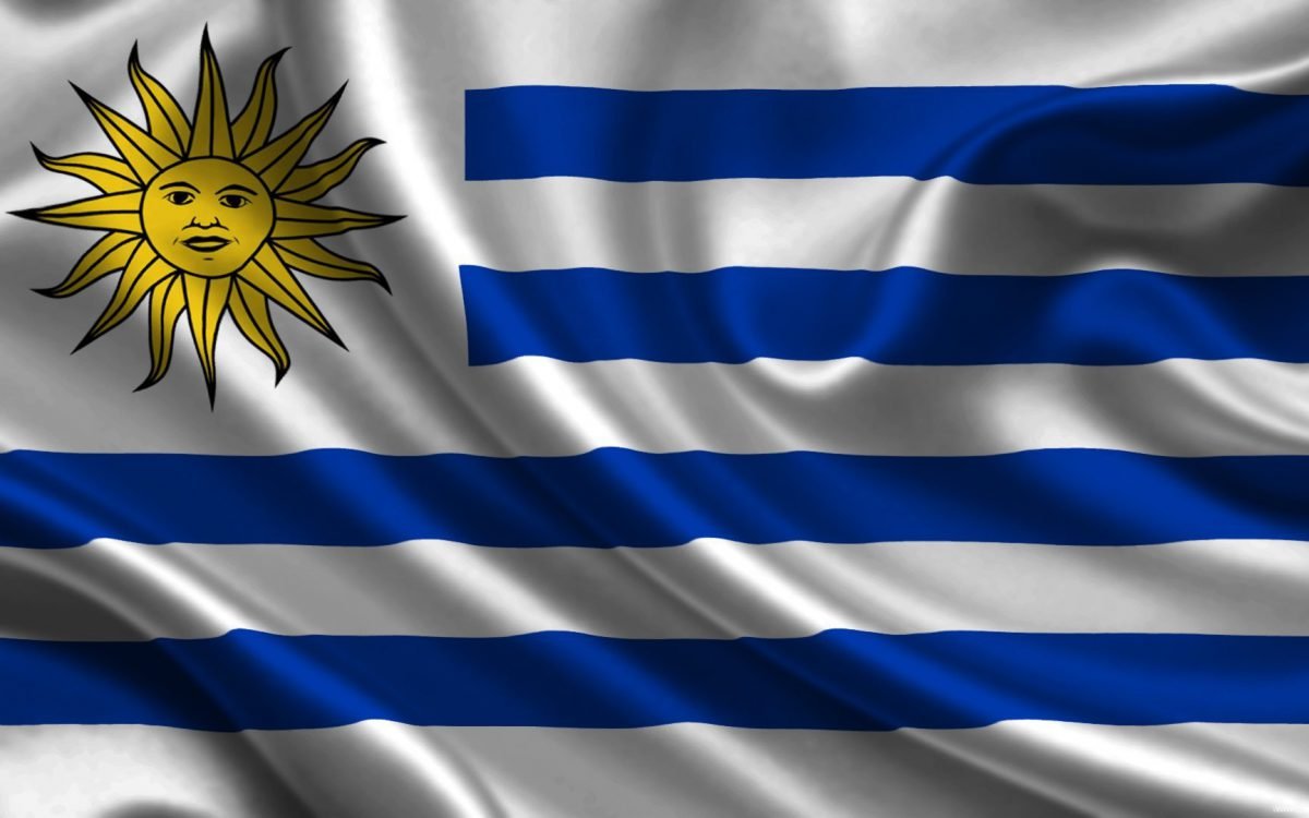 ¡ARRIBA LA CELESTE! ¡Vamos Uruguay Noma!