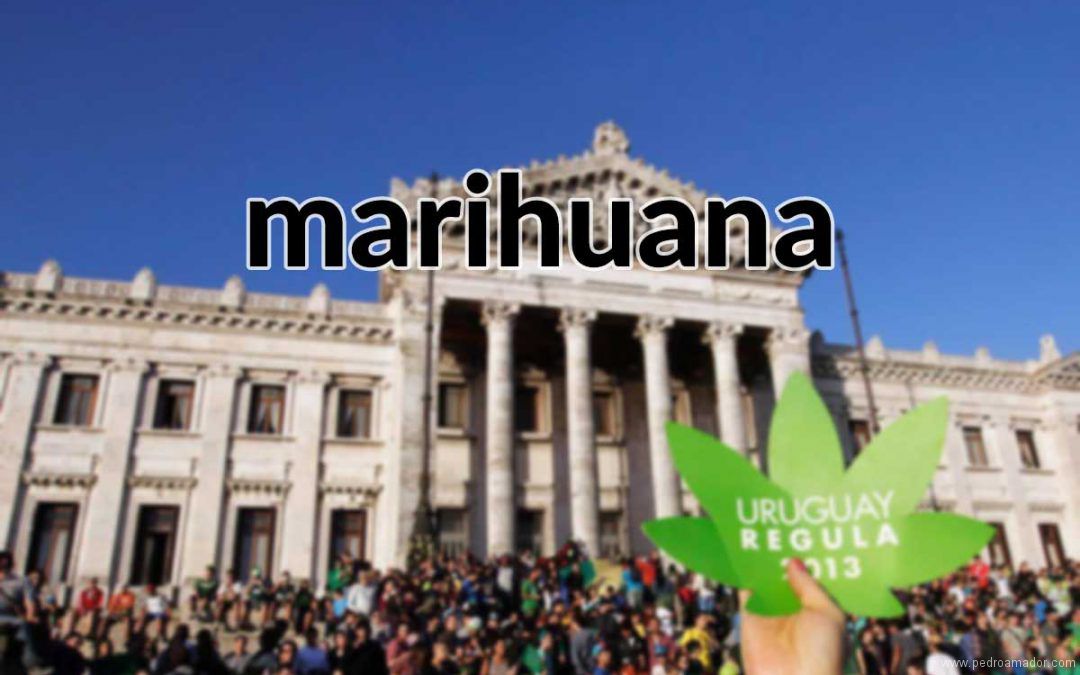 Uruguay legaliza la marihuana