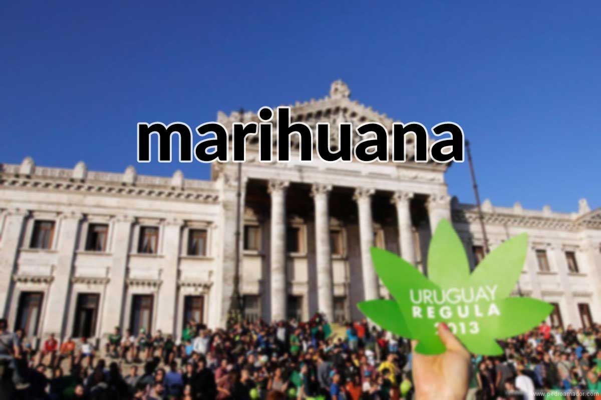 Marihuana en Uruguay