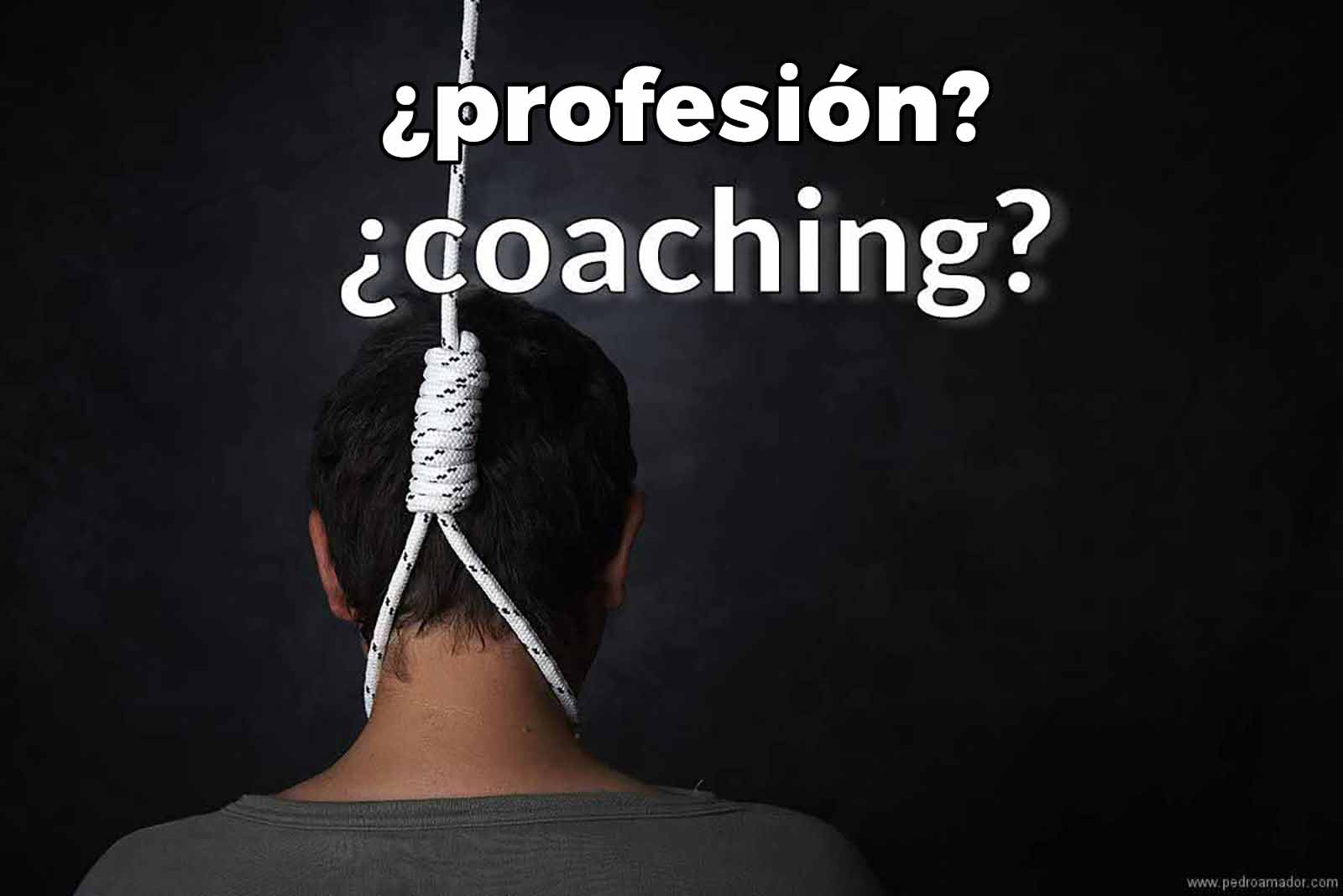 coaching profesión
