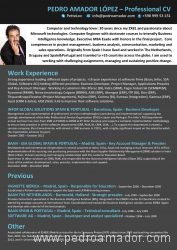 cv pedro amador version web