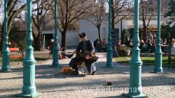 BUDAPEST Musico Buda