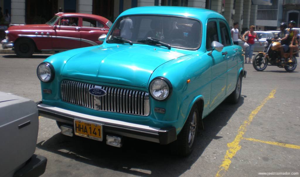 Qué hacer en Cuba: Los cangrejos de Cuba salen de noche a bailar ⛲