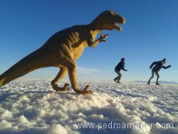 BOLIVIA Jugando en el salar