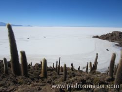 BOLIVIA Salar de Uyuni 2