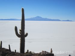 BOLIVIA Salar de Uyuni 3 BOLIVIA Salar de Uyuni 3