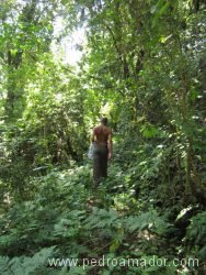 TANZANIA Arusha trekking KIli resize