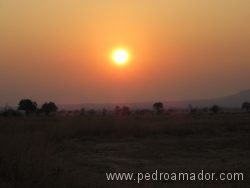 TANZANIA Atardecer sabana resize