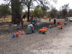 TANZANIA Carretera tomates resize