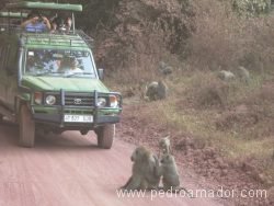 TANZANIA Incidencia trafico resize TANZANIA Incidencia trafico resize