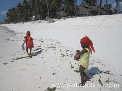 TANZANIA Jambiani niños 2 resize
