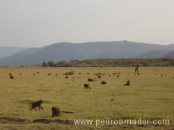 TANZANIA Marangu Manyara