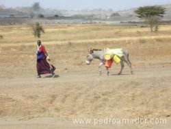 Qué conocer en Tanzania Qué conocer en Tanzania
