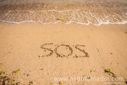 SOS 800