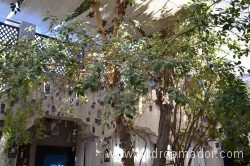 Al Bastakiya Historical Area 30
