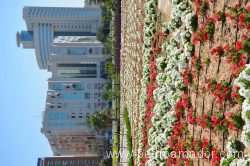 Deira Dubai Union 4