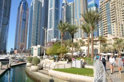Dubai Marina 104 1