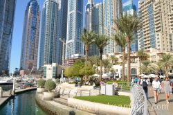 Dubai Marina 104