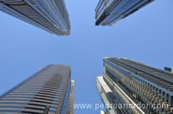 Como viven las mujeres en Dubai Cómo es la vida en Dubai Marina para una mujer