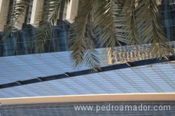Dubai Marina 17