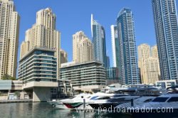 Dubai Marina 19