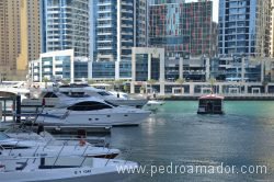 Dubai Marina 25 1 Dubai Marina 25 1