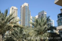 Dubai Marina 3 1 Dubai Marina 3 1