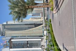 Dubai Marina 37