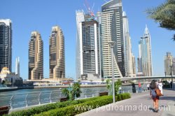 Dubai Marina 42 Dubai Marina 42