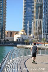 Dubai Marina 47 1
