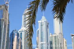 Dubai Marina 59 1 Dubai Marina 59 1