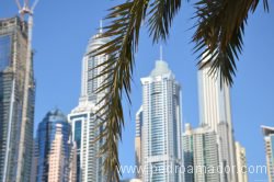 Dubai Marina 59