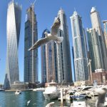 Cómo es vivir en Dubai Marina 2020