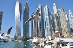 Cómo es vivir en Dubai Marina Cómo es vivir en Dubai Marina