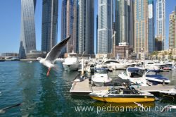 Dubai Marina 78 1 Dubai Marina 78 1
