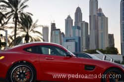Gof Dubai 19 1 Gof Dubai 19 1