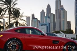 Gof Dubai 19