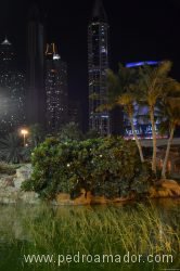 Gof Dubai 21 1 Gof Dubai 21 1