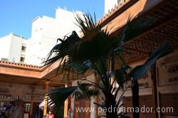 Grand Souq Deira Dubai 9 1