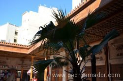Grand Souq Deira Dubai 9