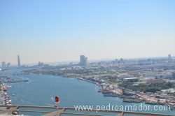 View Banıyas Complex. Dubai 5